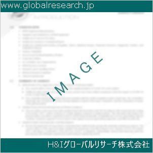 グローバルリサーチ調査資料のイメージ